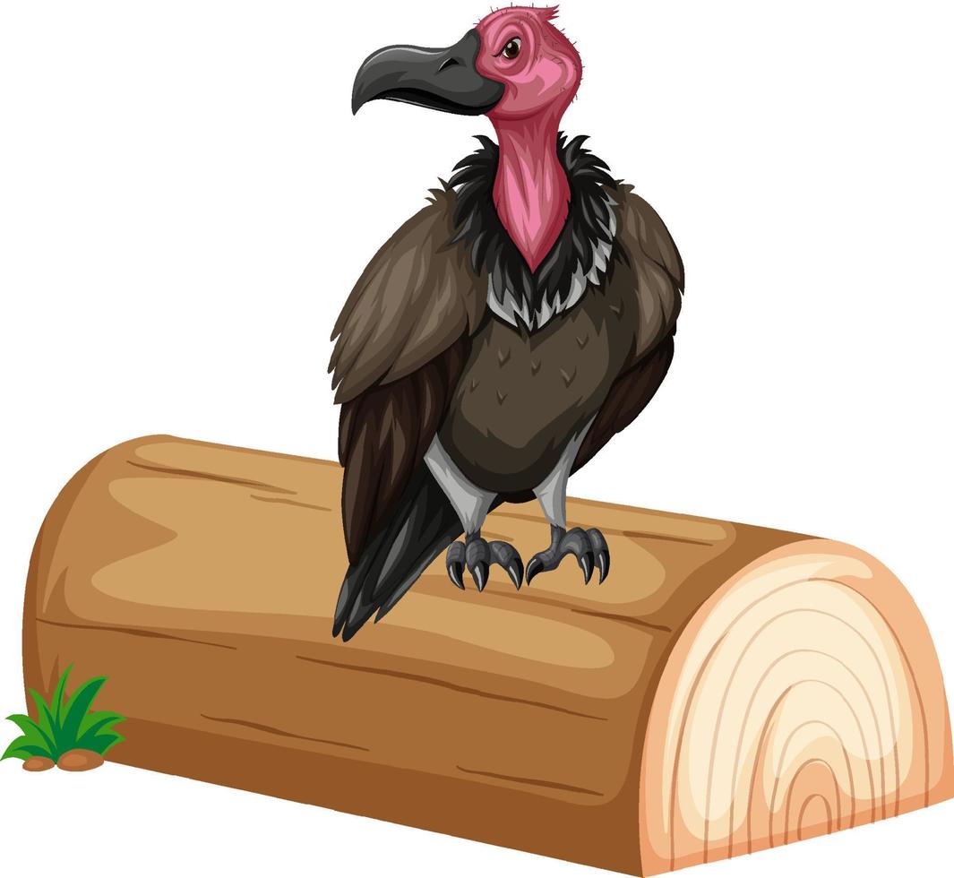 Vulture standing on the log vector