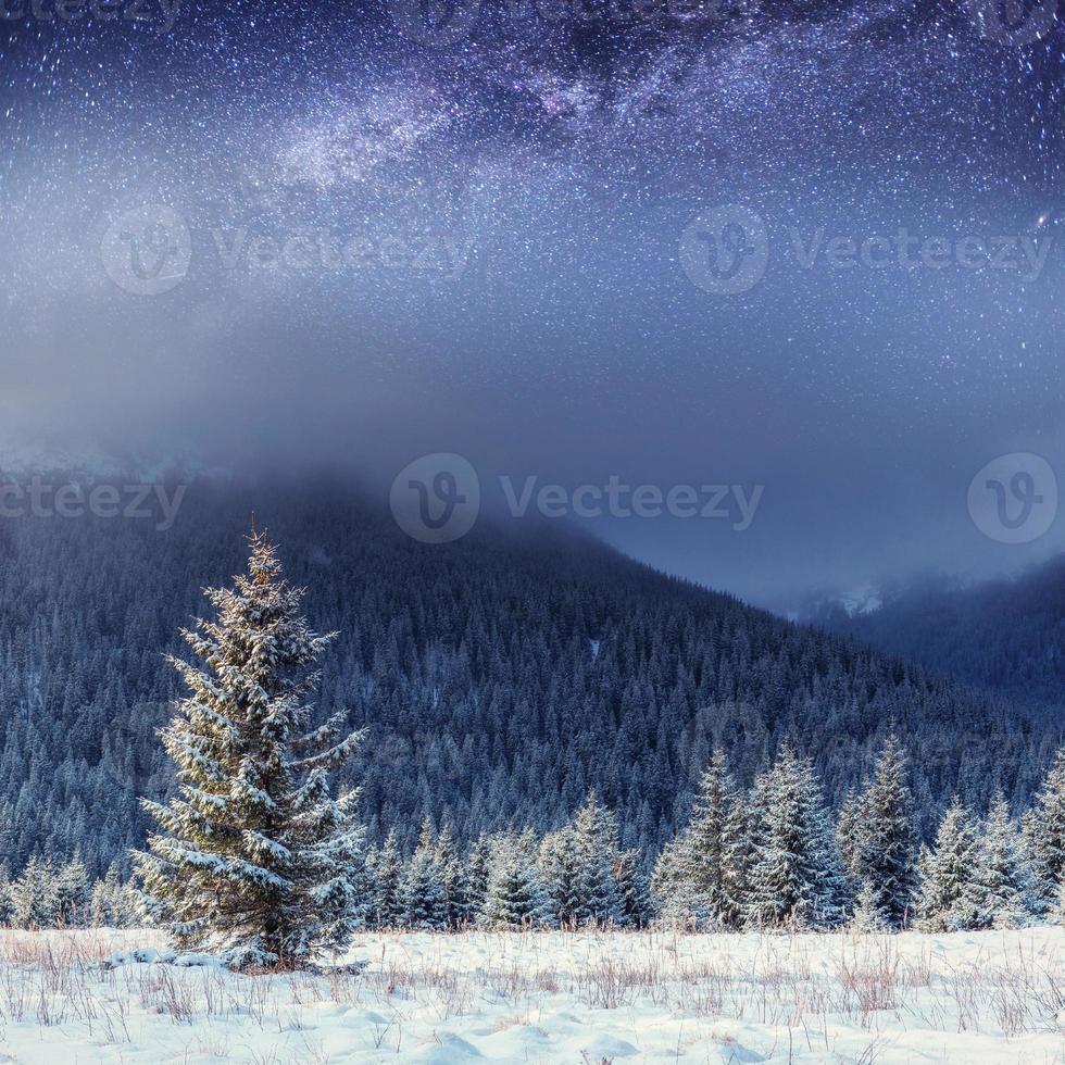 starry sky in winter snowy night. Carpathians, Ukraine, Europe photo