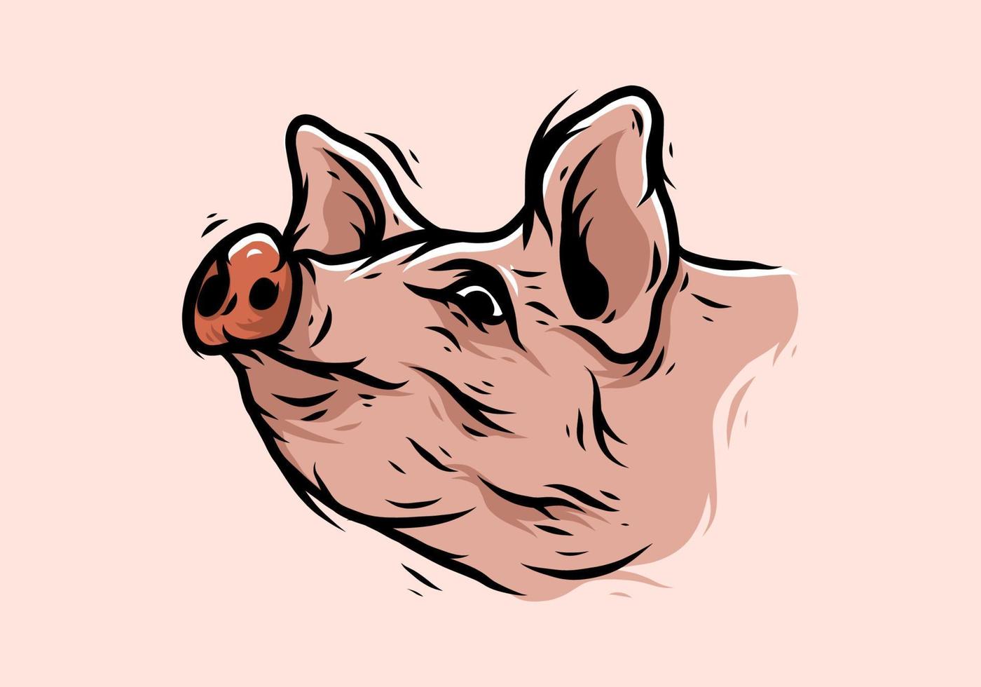 dibujo de ilustración de cabeza de cerdo vintage vector