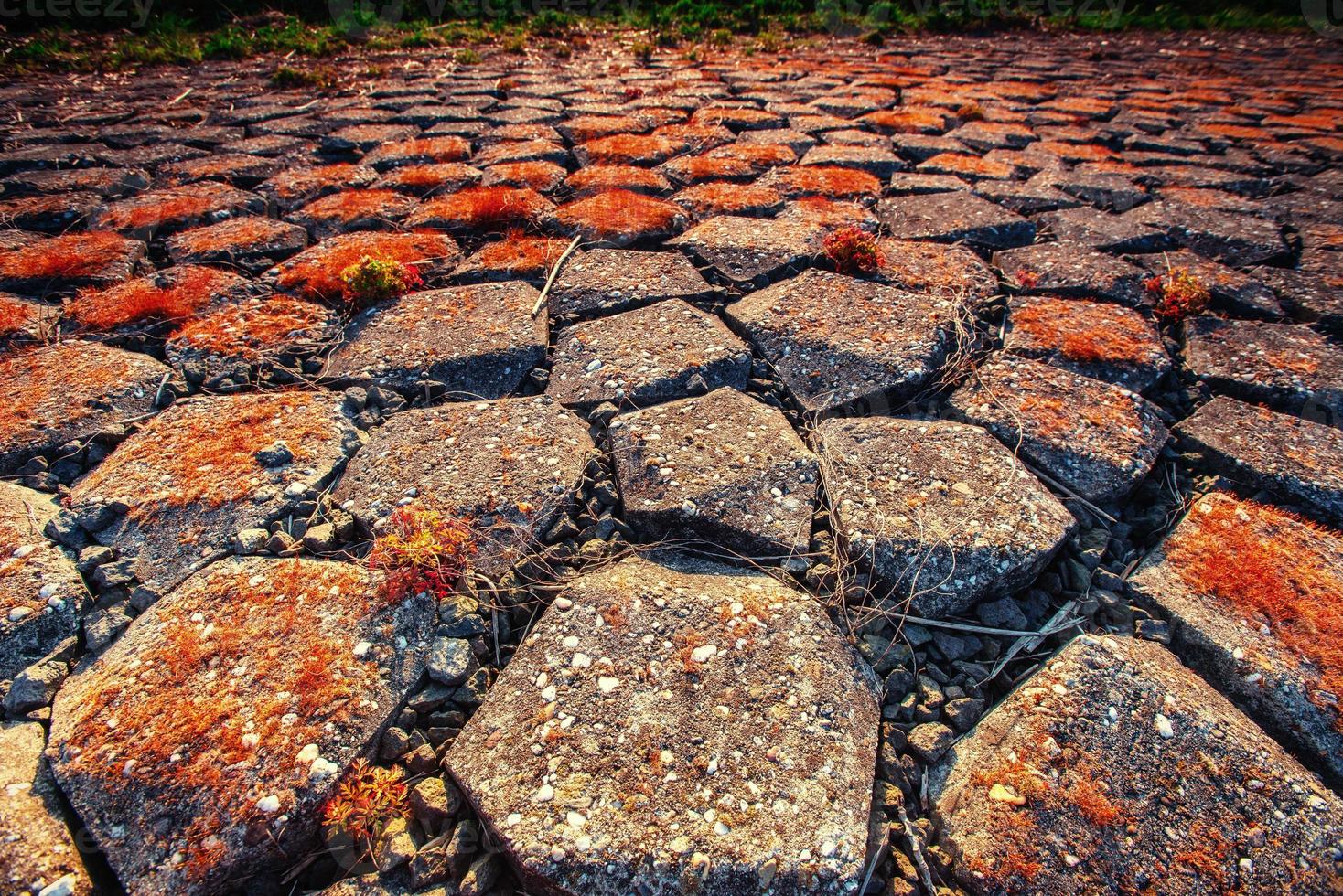 old stone road. Beauty world. Carpathians. Ukraine. Europe photo