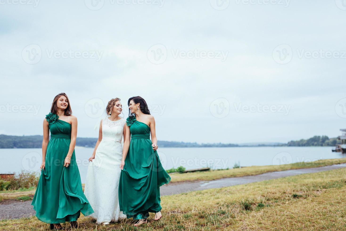 Group bride wedding summer outdoor. Ukraine Europe photo
