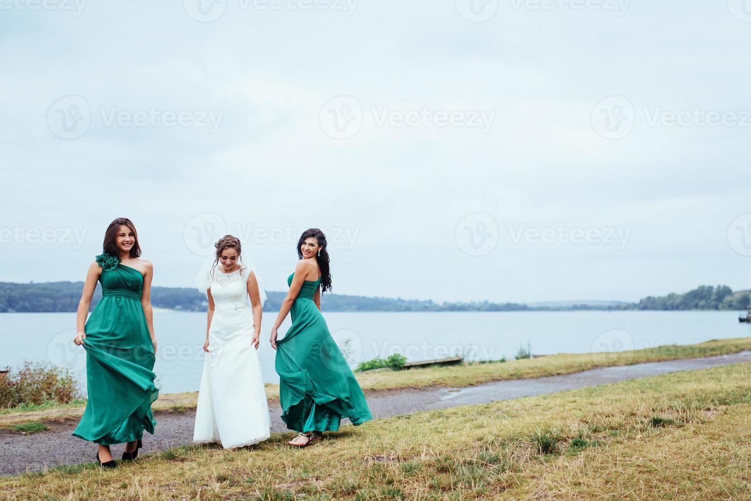 Group bride wedding summer outdoor. Ukraine Europe photo