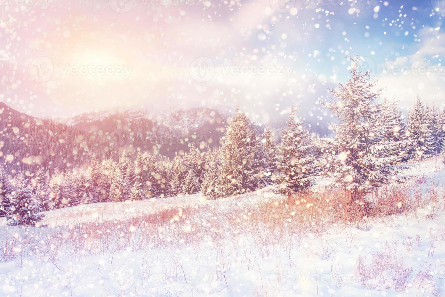 magical winter landscape, background with some soft highlights a photo