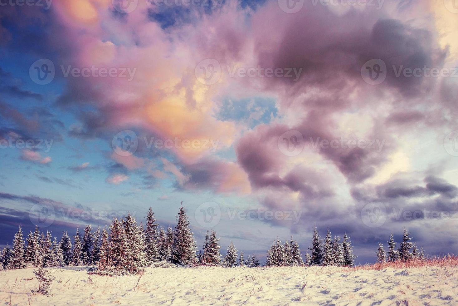 fabuloso paisaje invernal en las montañas. en previsión de t foto