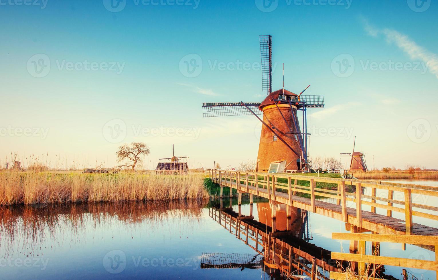 Colorful spring day with traditional Dutch windmills canal in Ro photo