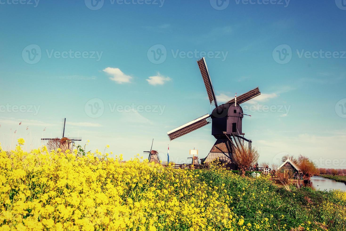 Old Dutch windmills spring from the canal in Rotterdam. Holland photo