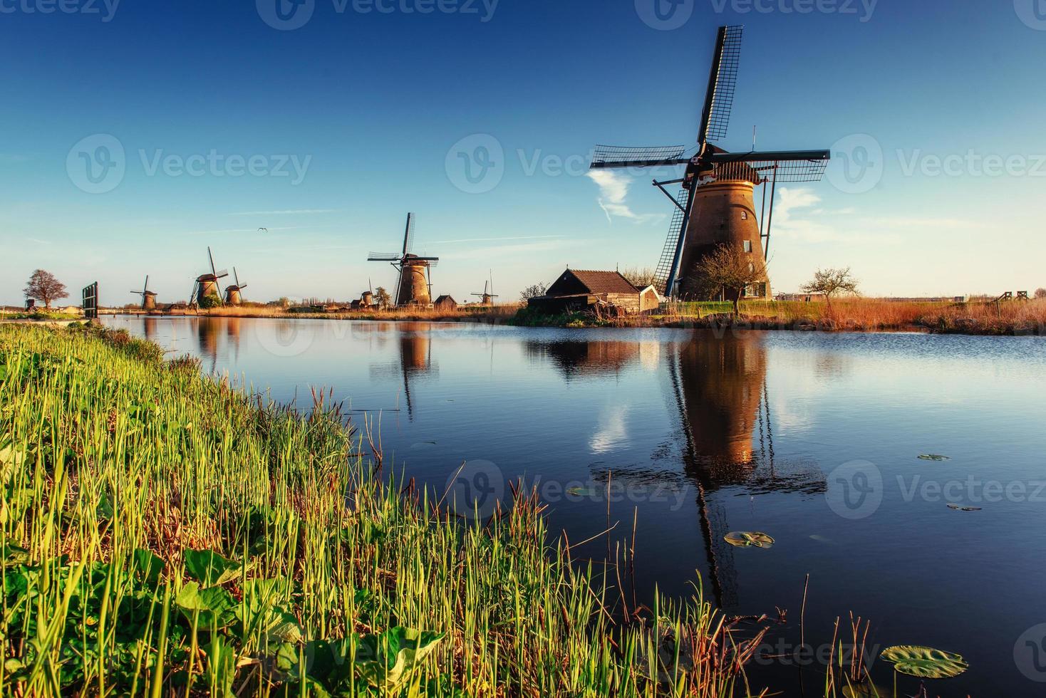 Colorful spring day with traditional Dutch windmills canal in Ro photo