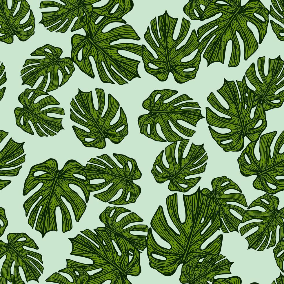 Engraving leaf monstera seamless pattern. Vintage leaves background. vector