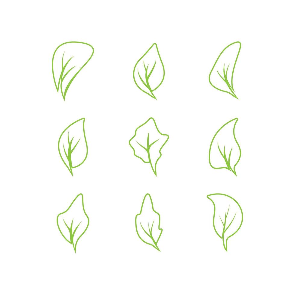 Green leaves logo.green leaf icons set vector template