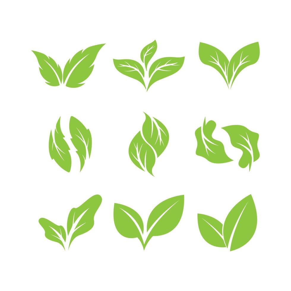 Green leaves logo.green leaf icons set vector template