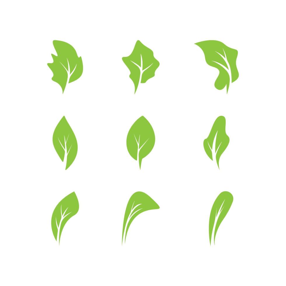 logotipo de hojas verdes.los iconos de hoja verde establecen plantilla vectorial vector