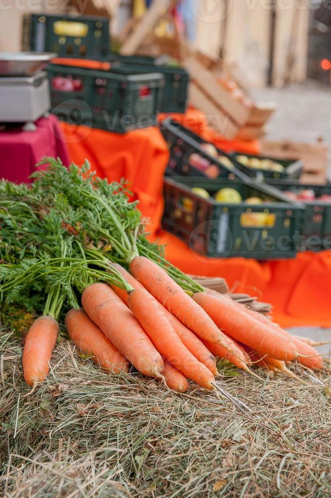 Autumn season vegetable composition from the fruit vineyard photo