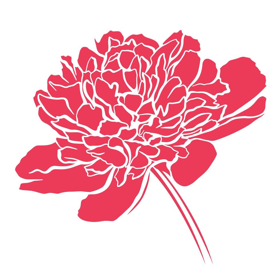 Pink peony silhouette vector illustration