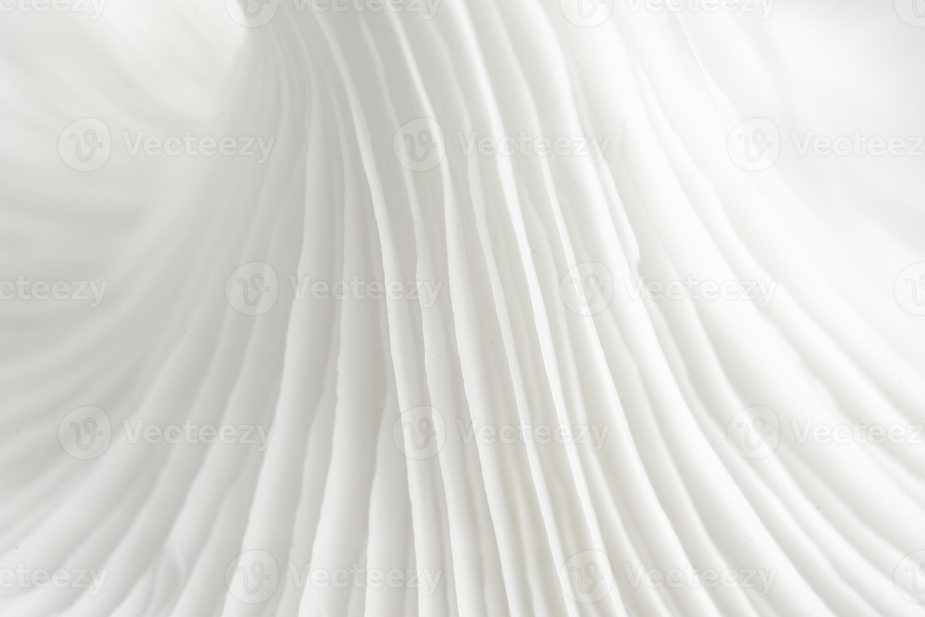 Abstract background blur macro of Oyster mushroom or Pleurotus