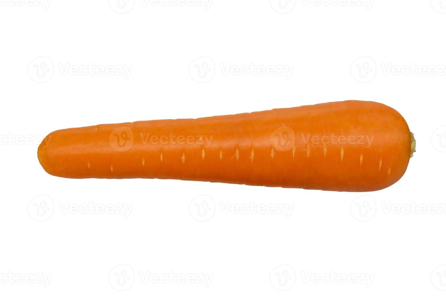 zanahoria sobre fondo blanco. foto