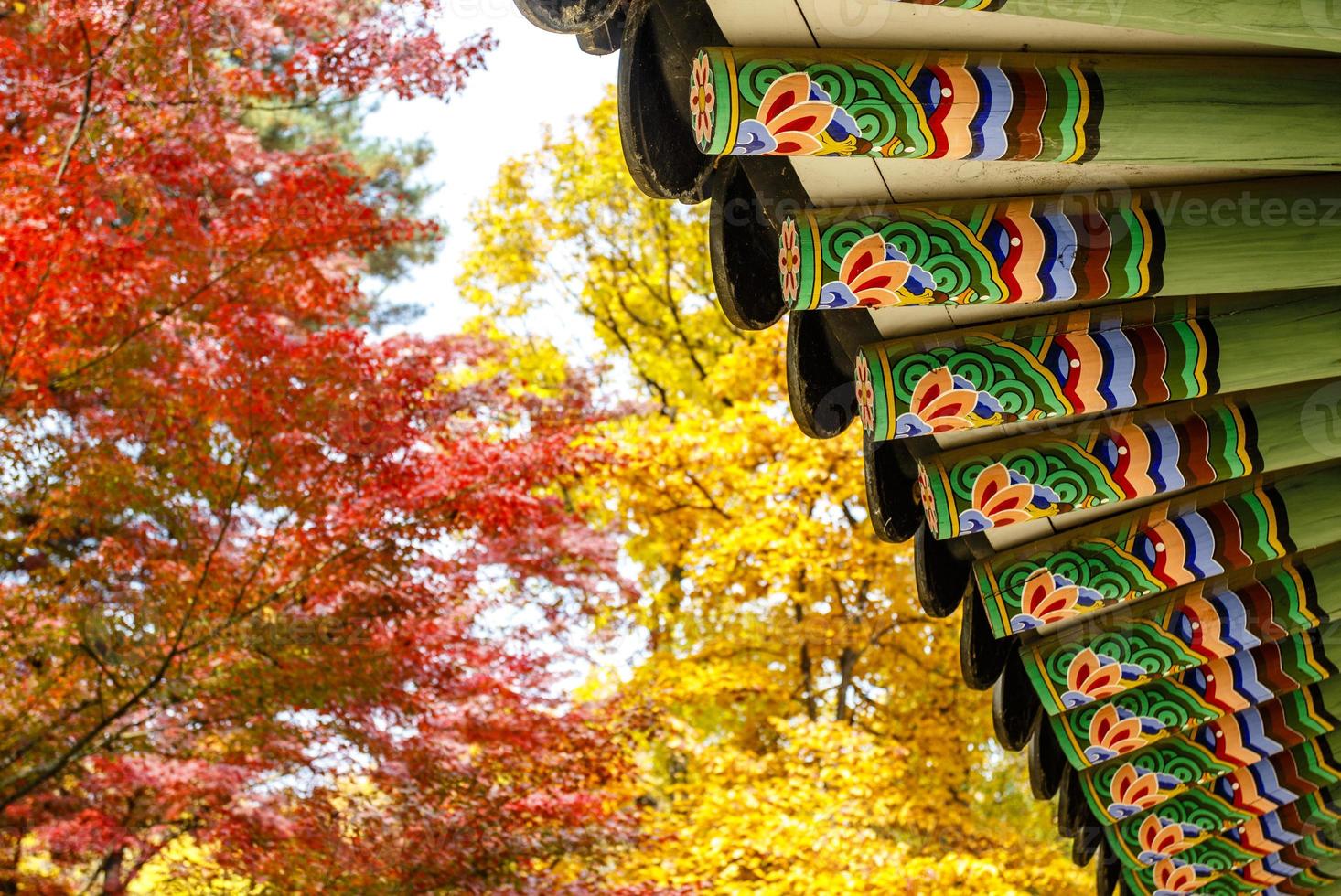 techo colorido de un pabellón en el parque del palacio changdeokgung en seúl, corea del sur, asia foto