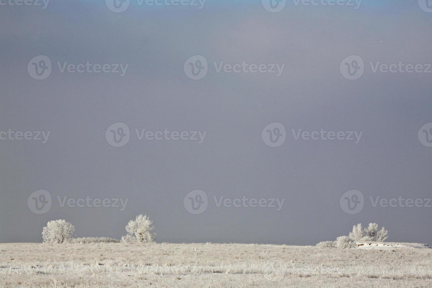A Frosty Country Day photo