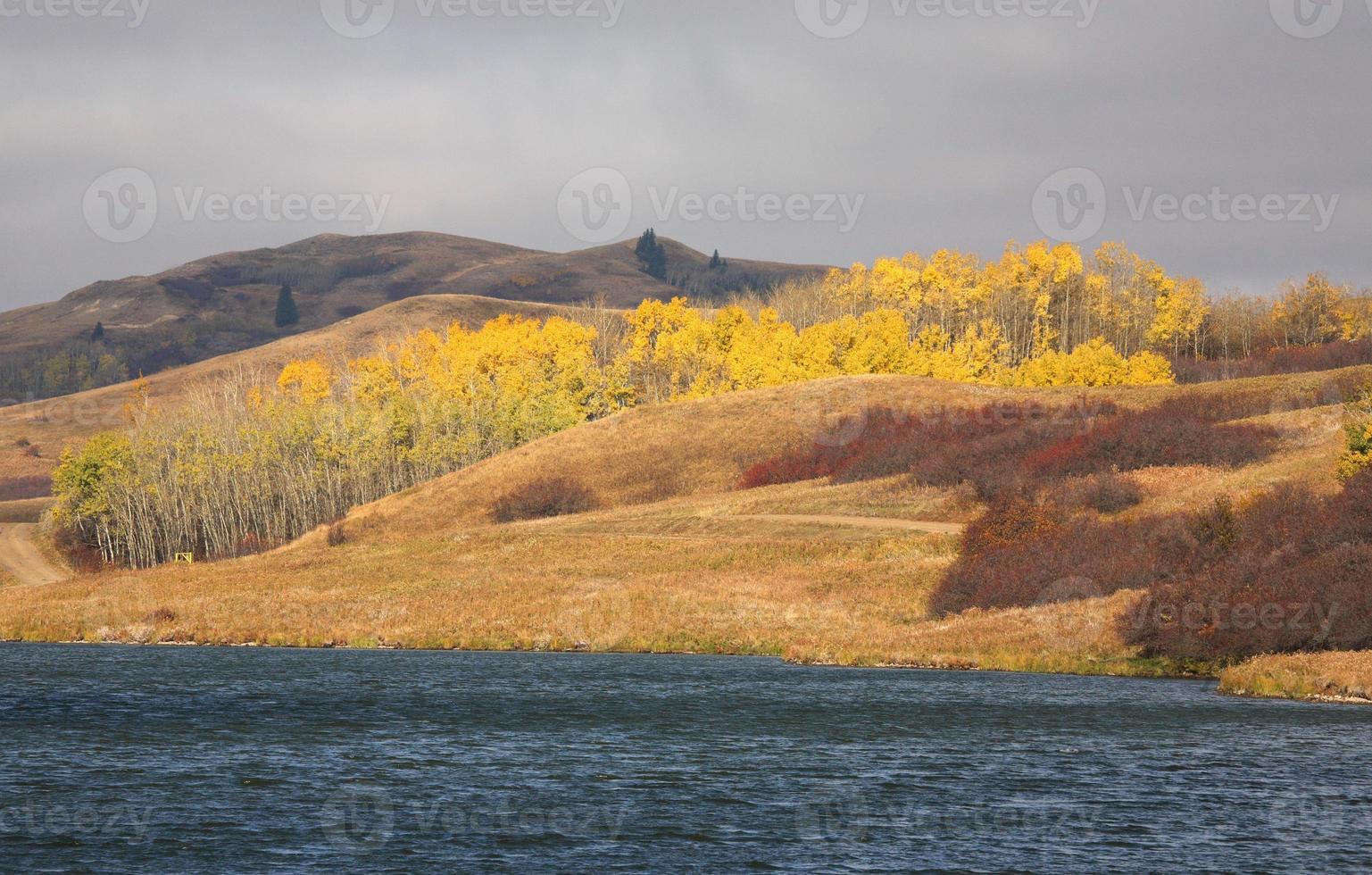 reesor lago alberta en otoño foto