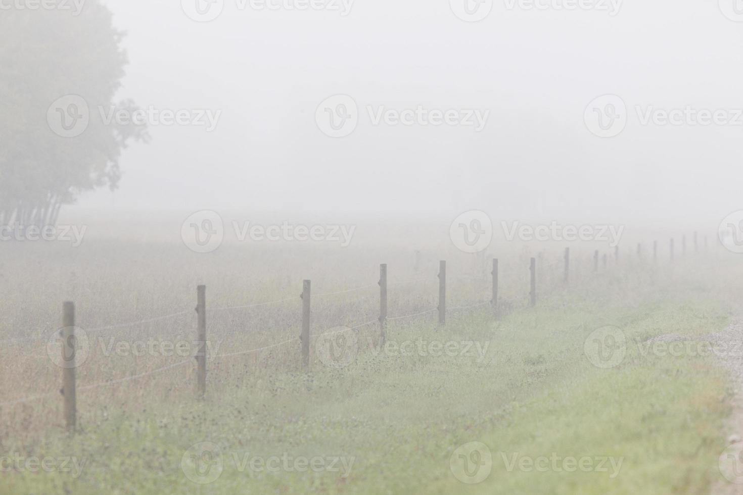 niebla niebla a lo largo de la cerca de Canadá foto