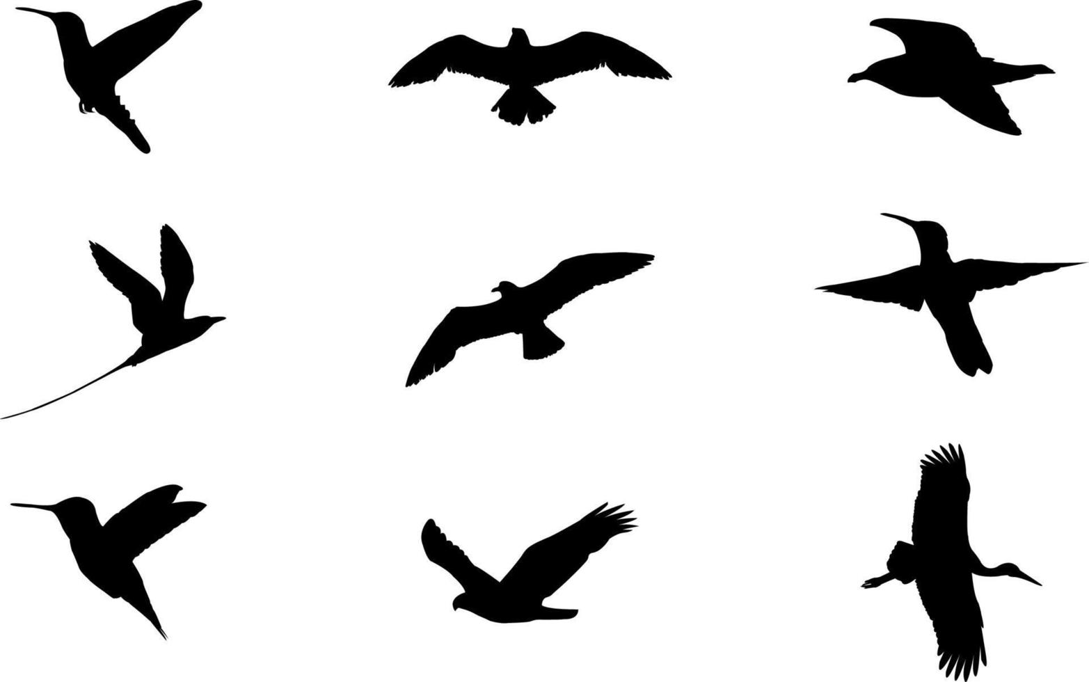 conjunto de silueta de pájaro, silueta de vector de pájaro