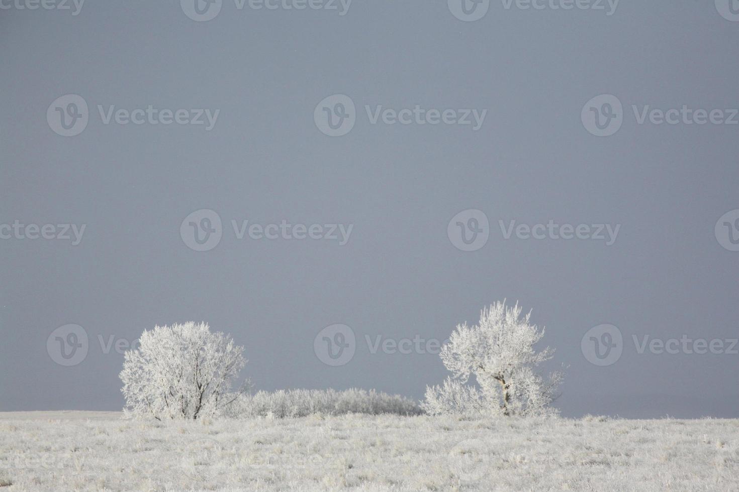 A Frosty Country Day photo