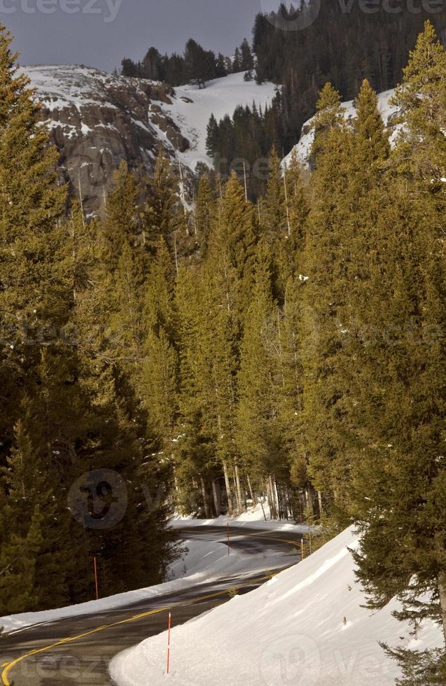 Yellowstone Park Wyoming Winter Snow photo