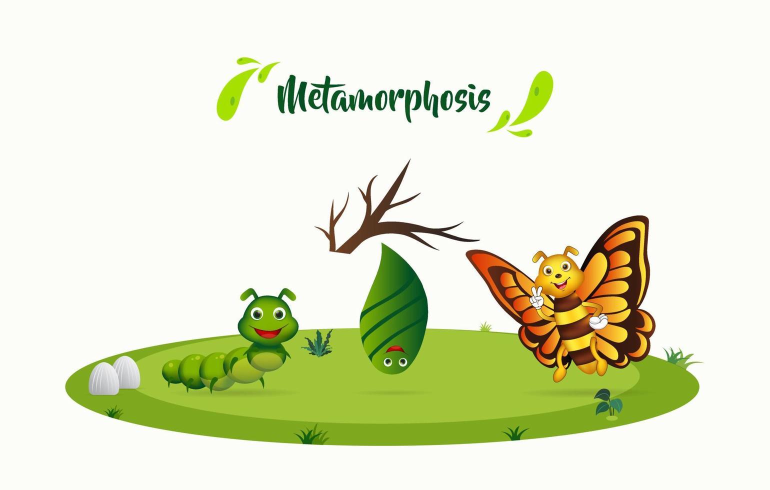 proceso metamorfosis mariposa fondo. proceso de ilustración de vector de diseño de ciclo de vida de mariposa.