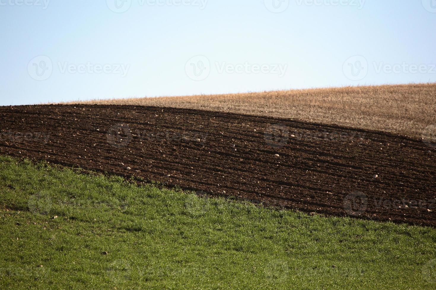 Saskatchewan fields in spring photo