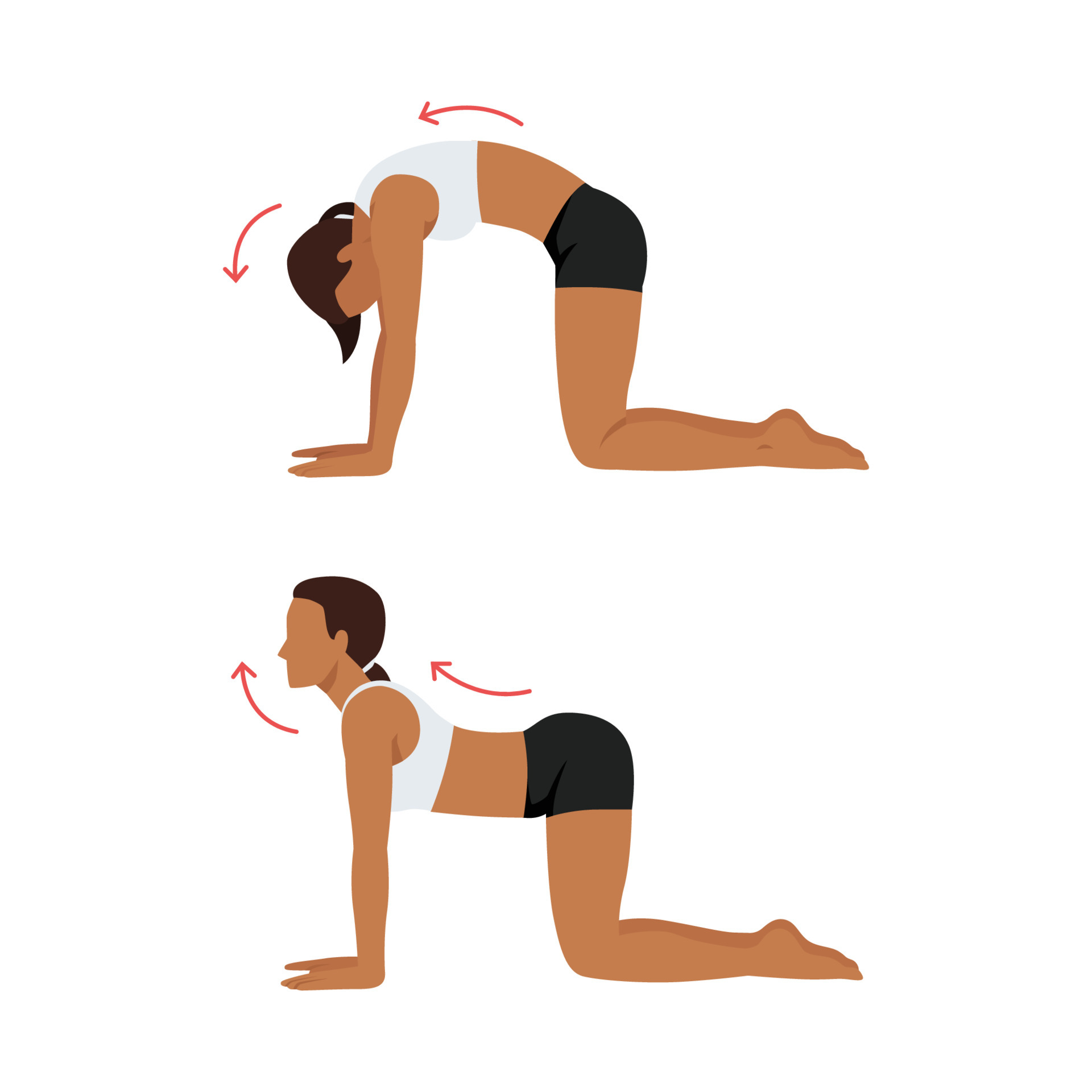 Cat Cow Pose Marjaryasana Bitilasana How To Do Properly 48 OFF