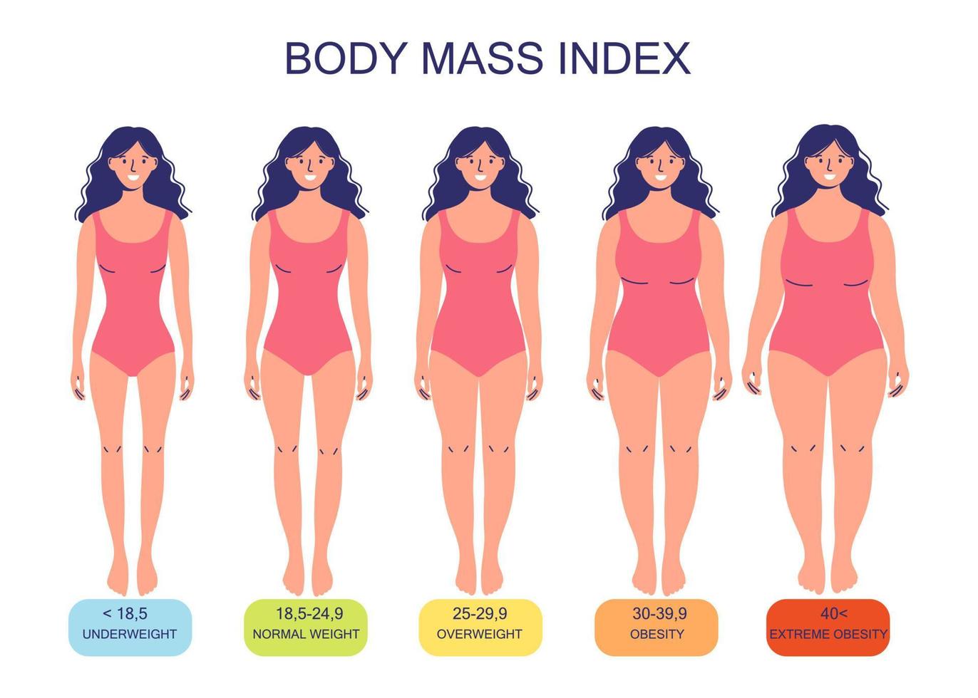 Body mass index from underweight to extremely obese. vector