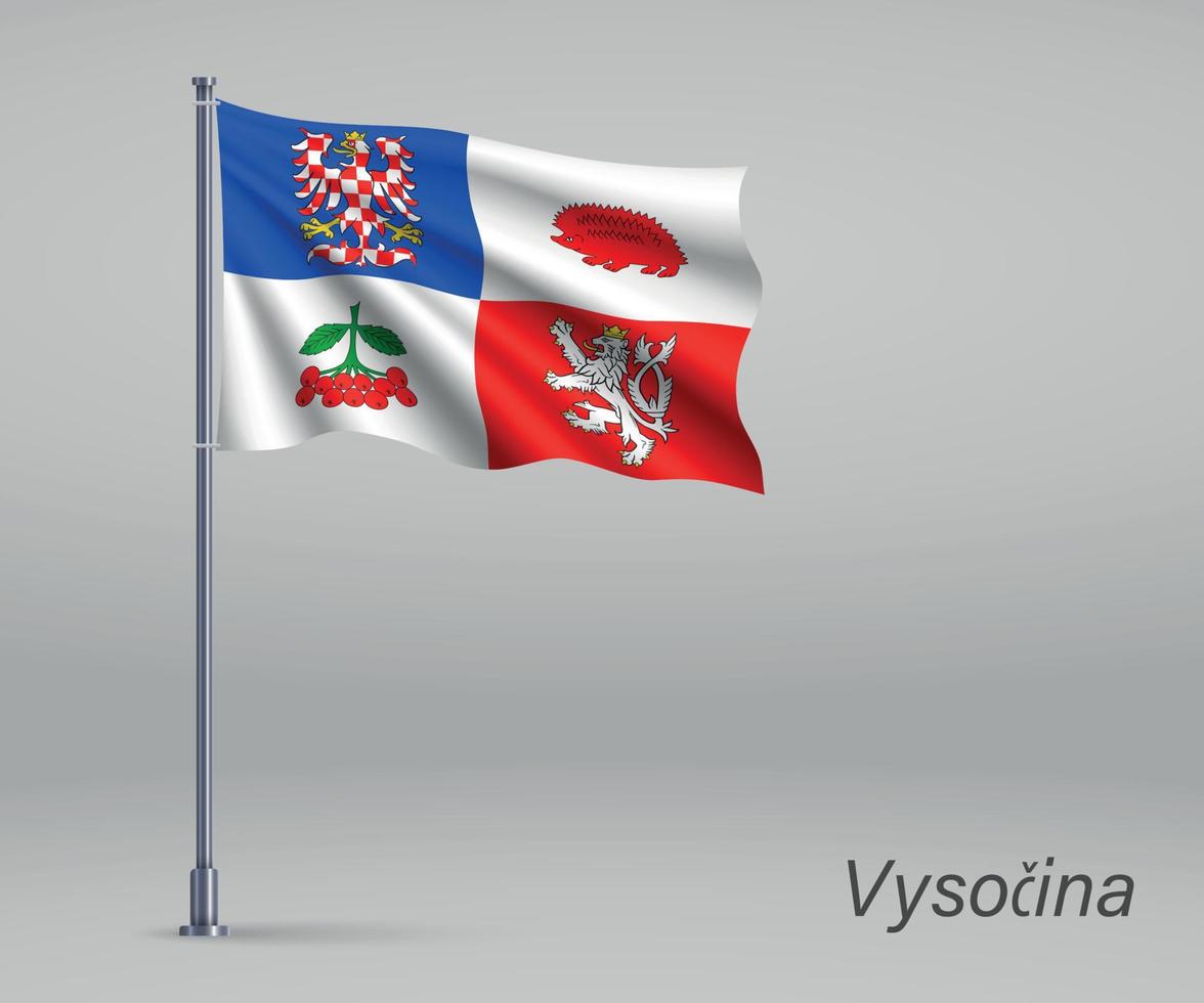 Waving flag of Vysocina - region of Czech Republic on flagpole. vector
