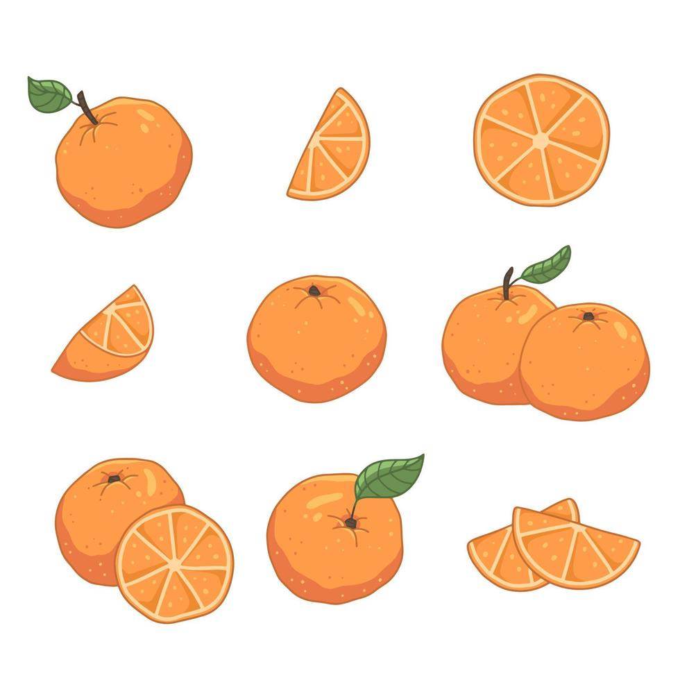 Set with oranges in cartoon style. A whole orange, a slice of orange. Vector isolated food illustration.