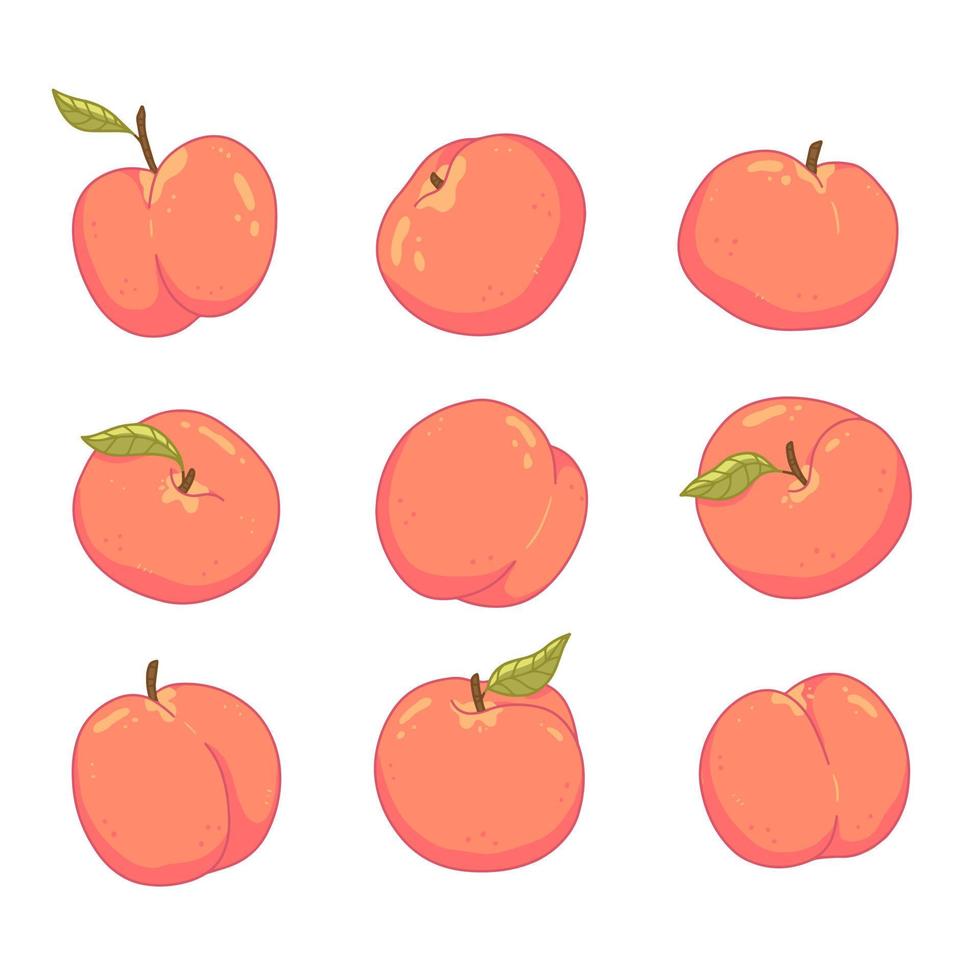 Set with peaches in cartoon style. Vector isolated food illustration.