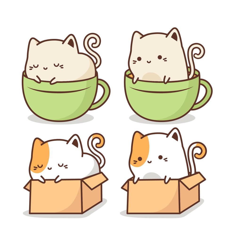 cute cat inside box and cup vector