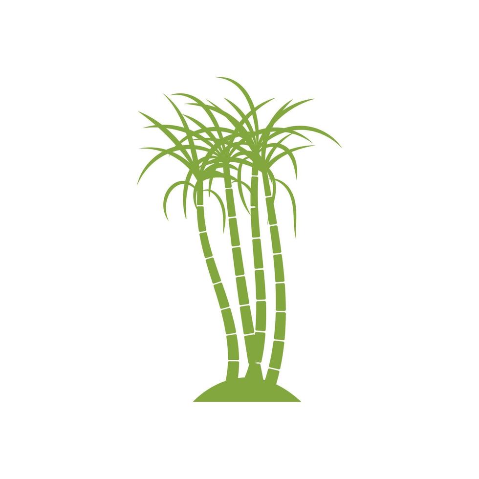 Sugar cane plant logo vector illustration design