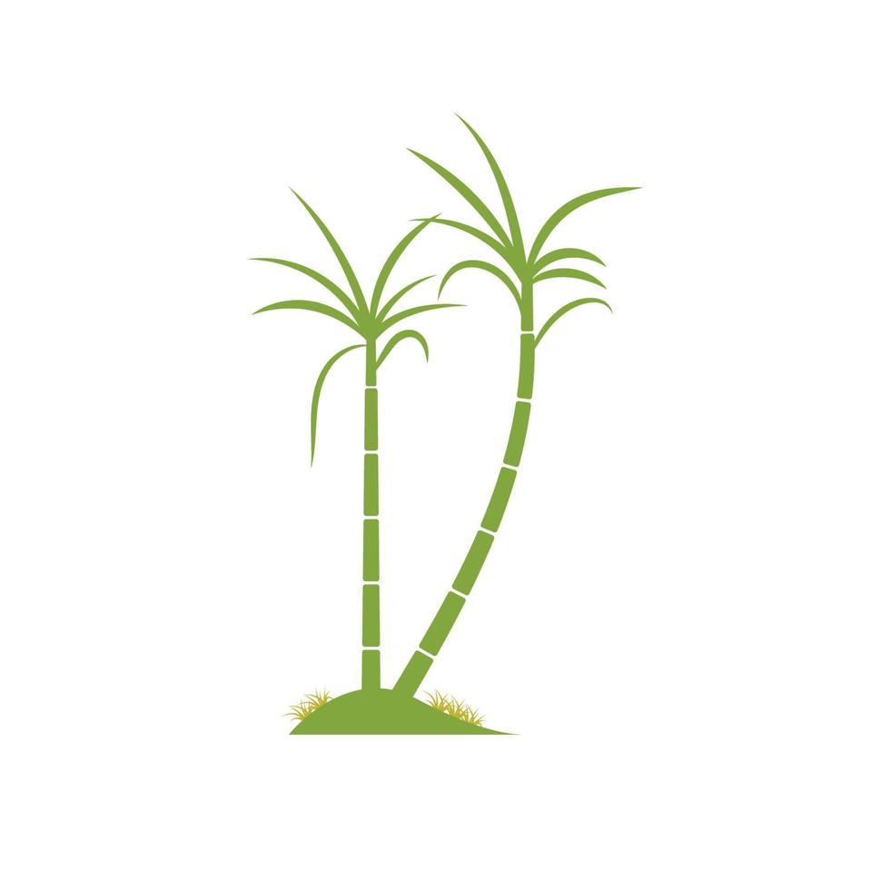 Sugar cane plant logo vector illustration design