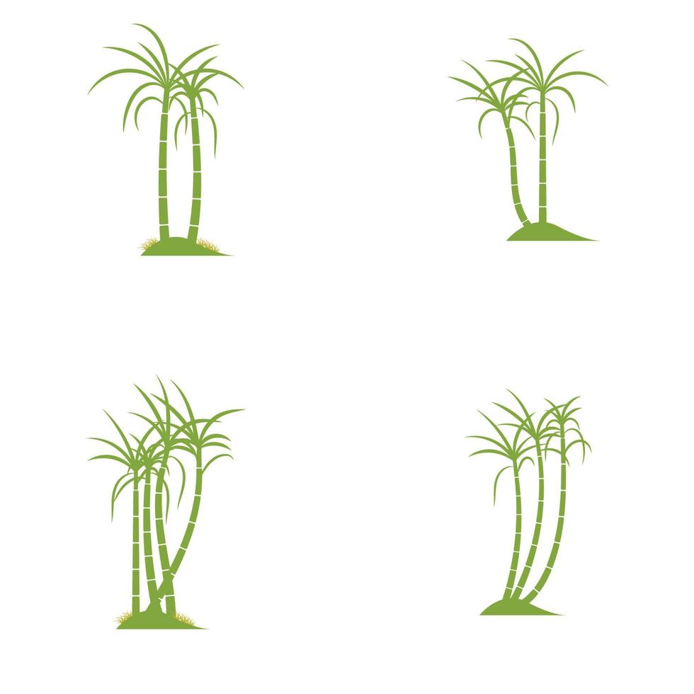 Sugar cane plant logo vector illustration design