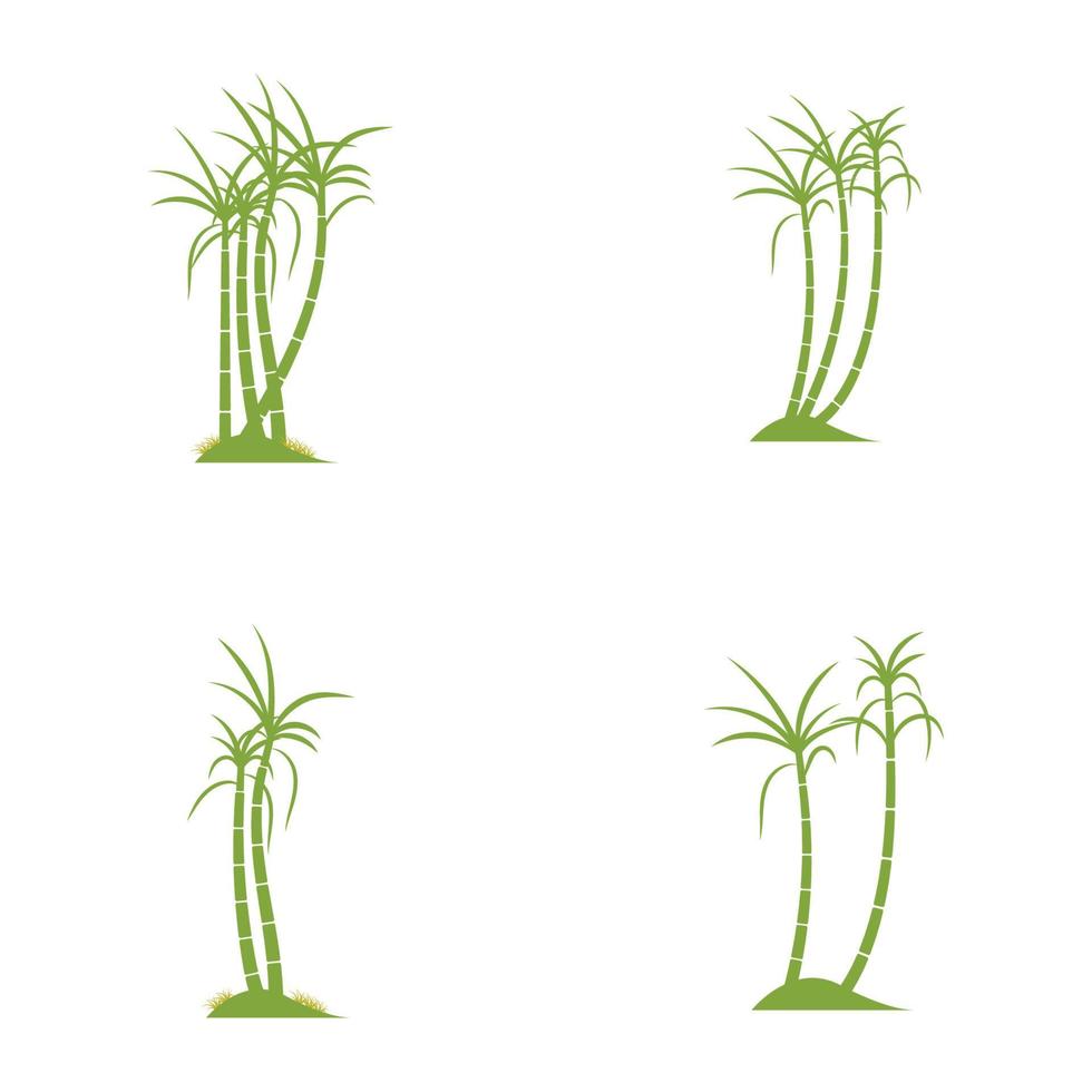 Sugar cane plant logo vector illustration design