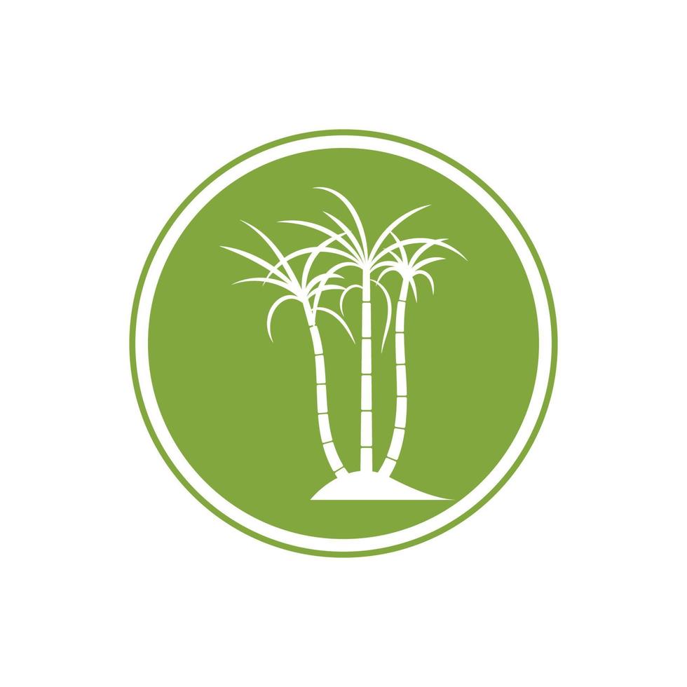 Sugar cane plant logo vector illustration design