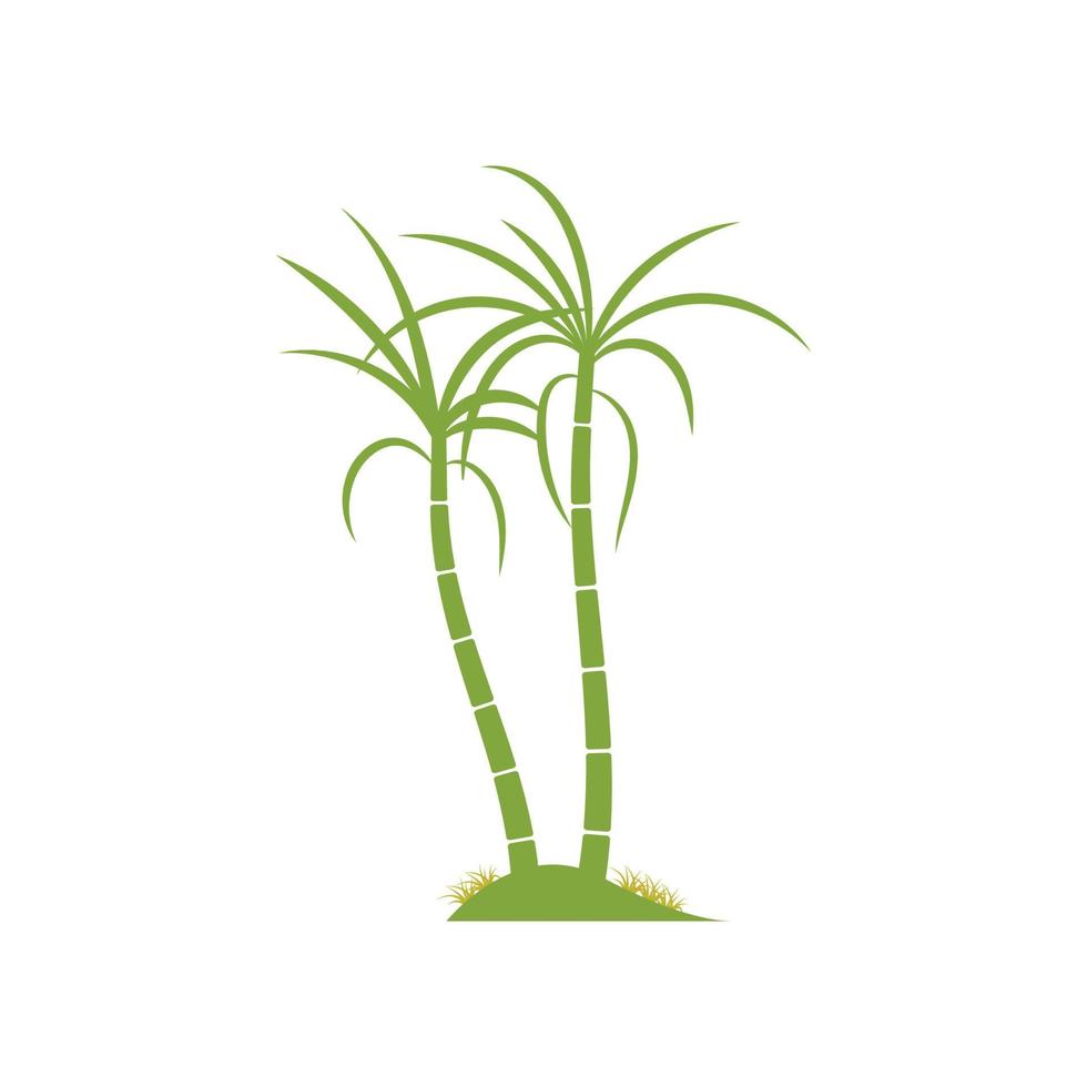 Sugar cane plant logo vector illustration design