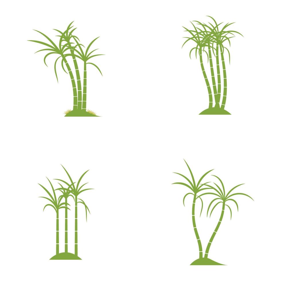 Sugar cane plant logo vector illustration design