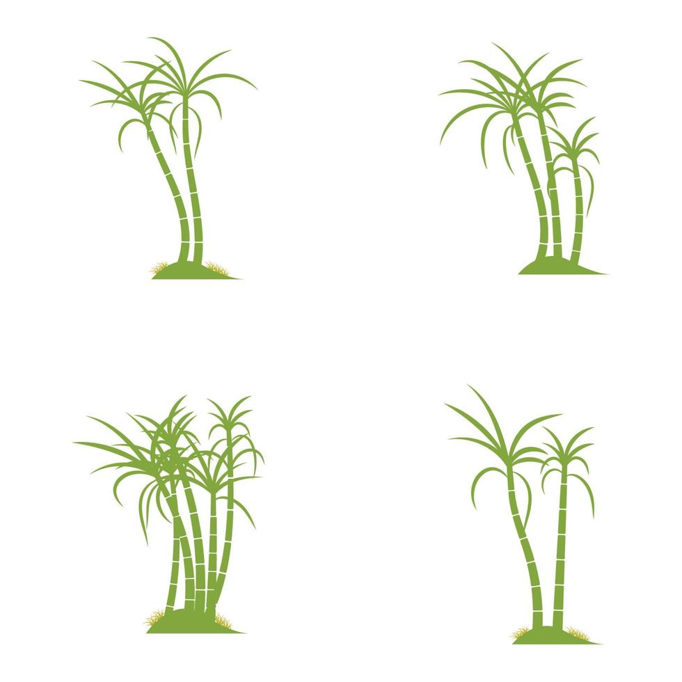 Sugar cane plant logo vector illustration design