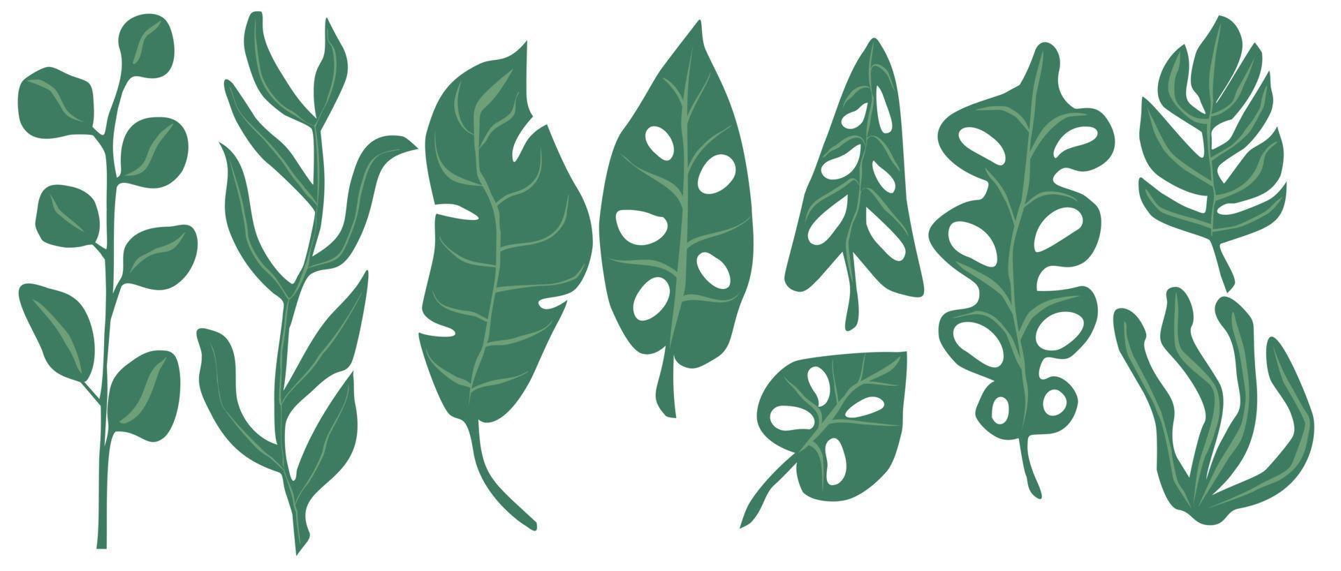 Green leaves set on white background vector illustration.