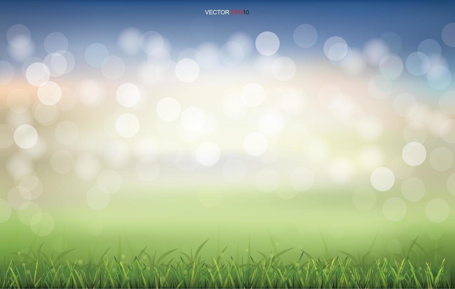 Green grass field with light blurred bokeh background. Vector. vector