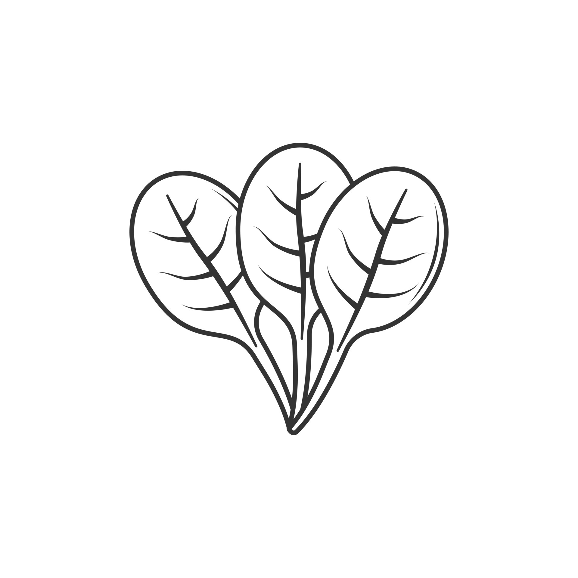 Outline icon of spinach illustration 6476229 Vector Art at Vecteezy