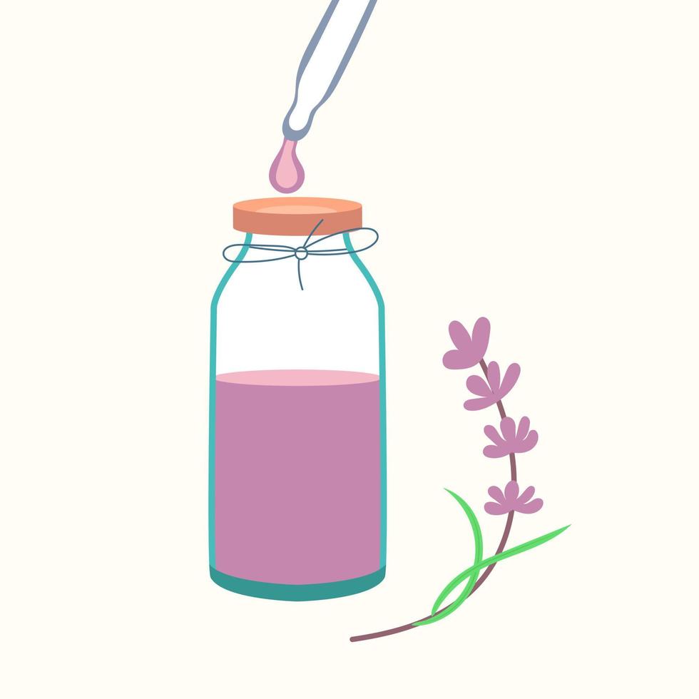 aceite esencial de lavanda con pipeta. procedimiento cosmético aromaterapia vector