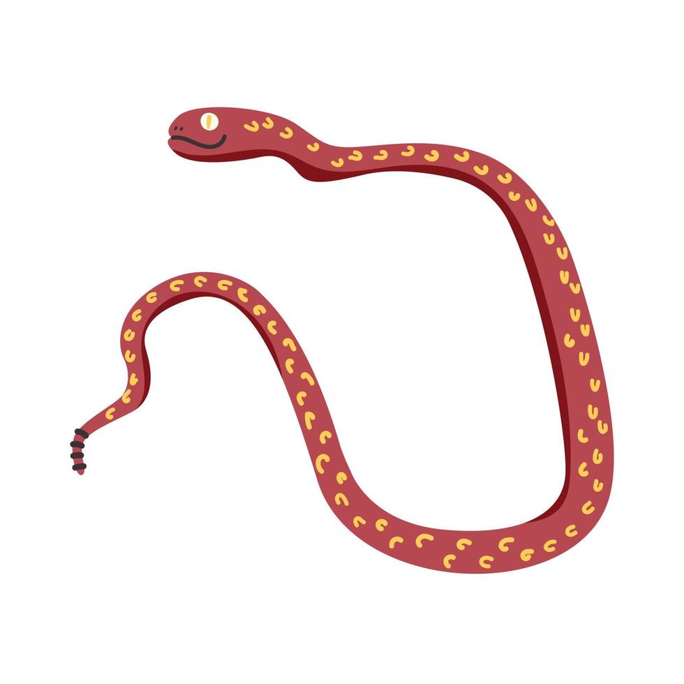 Magic Snake doodle vector