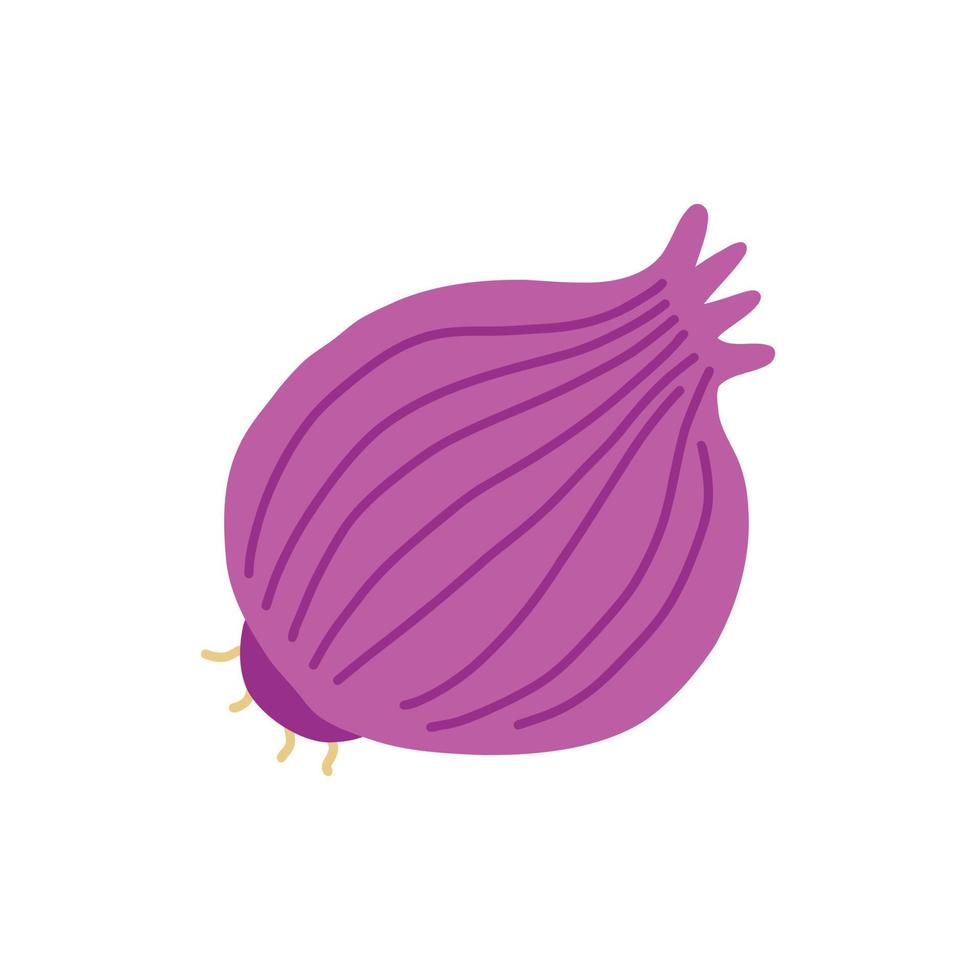 Purple shallots onion 6476681 Vector Art at Vecteezy