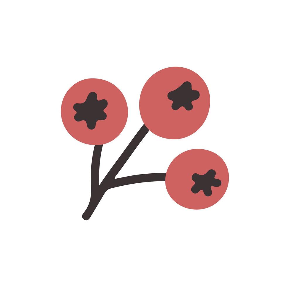 Rowan berry doodle vector