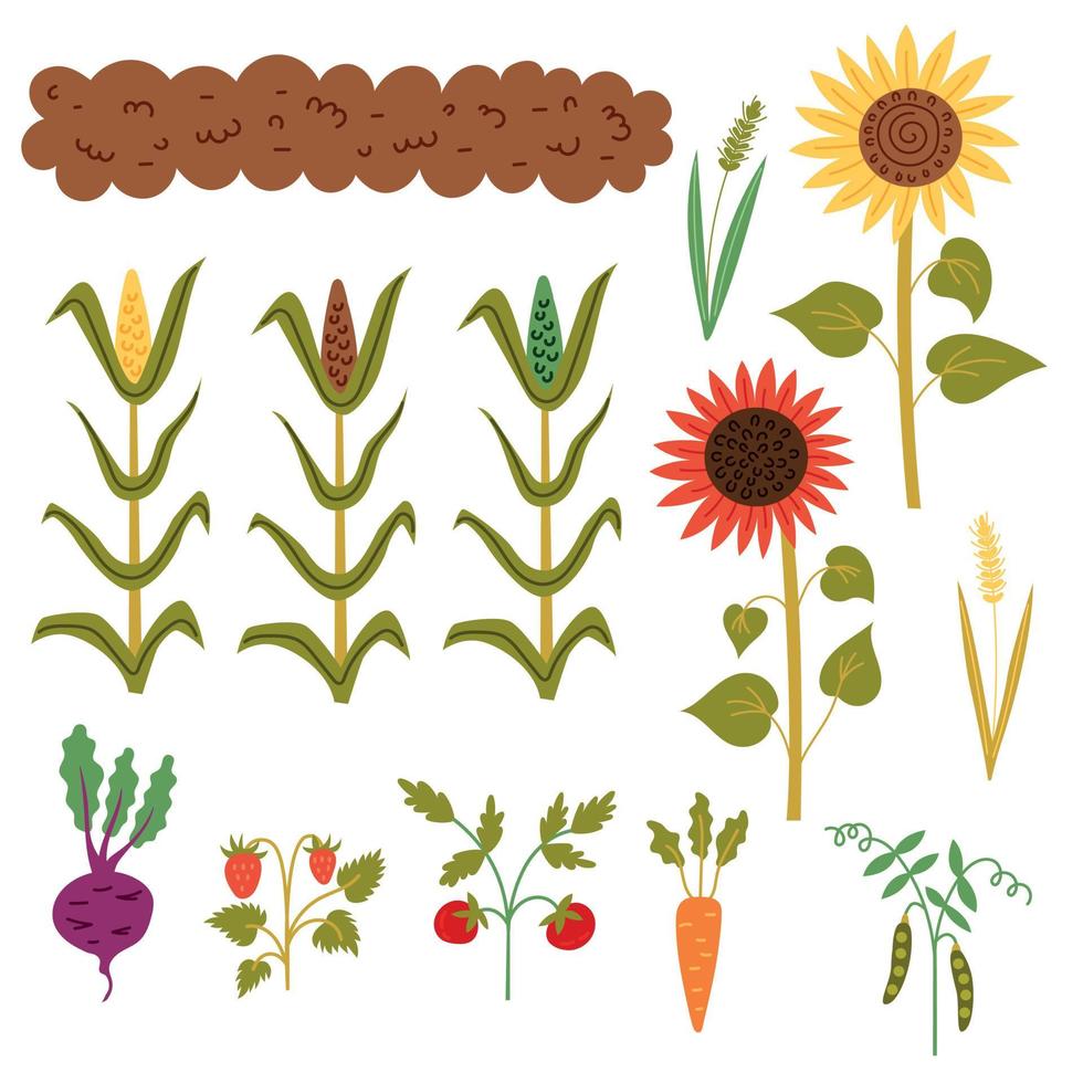 Set  autumn harvest from the bed vector